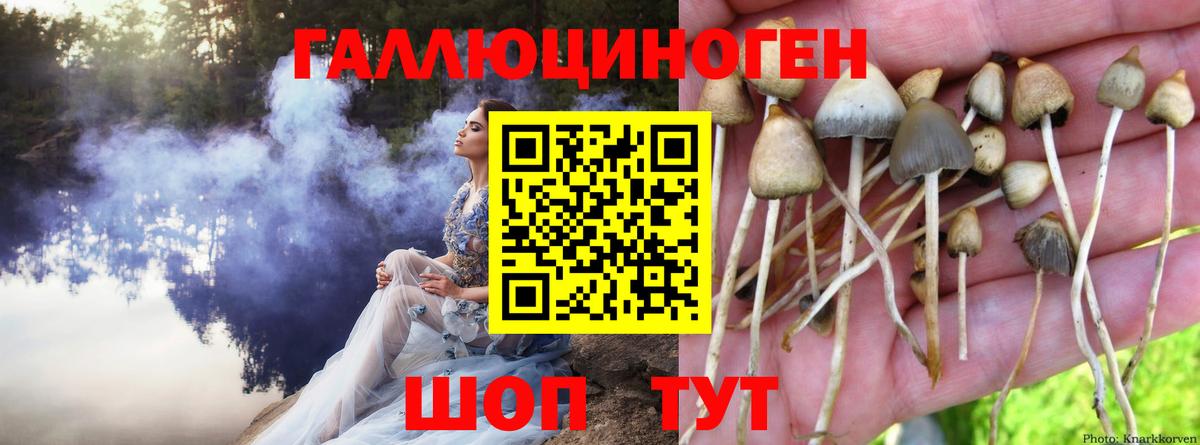 Галлюциногенные грибы Cubensis  Вход с VPN  Тула  Галлюциногенные грибы Cubensis 